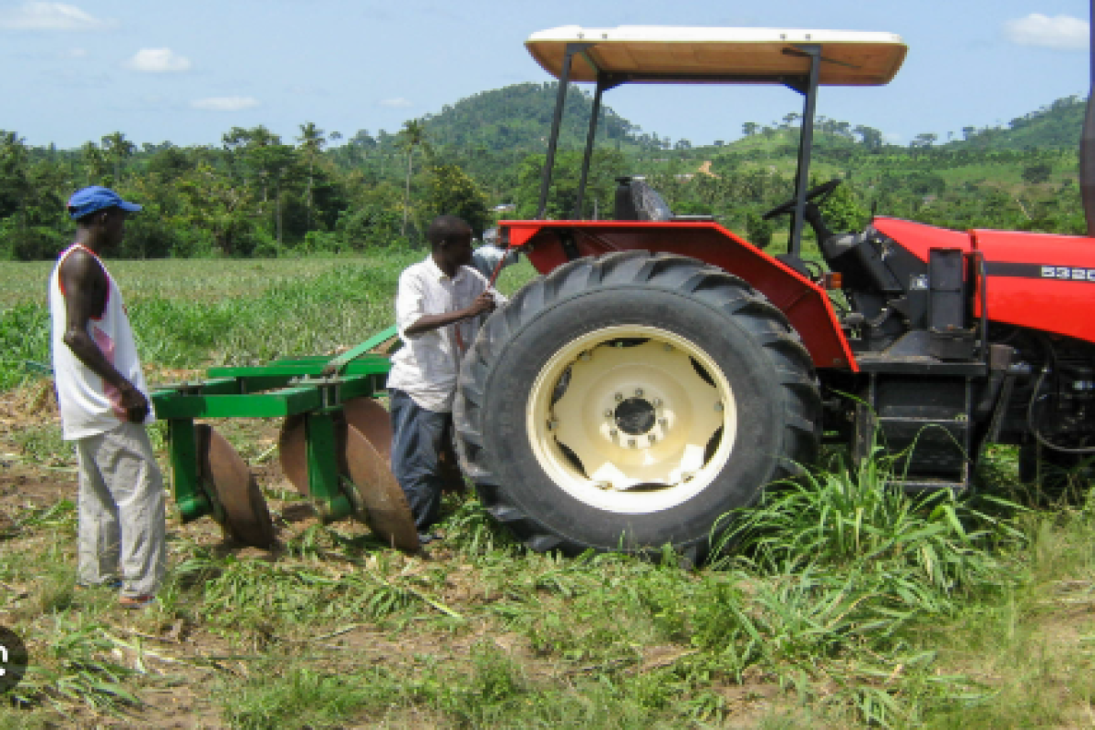 Agriculture / Crop Insurance